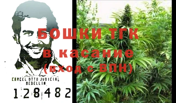 прущие крисы Аркадак