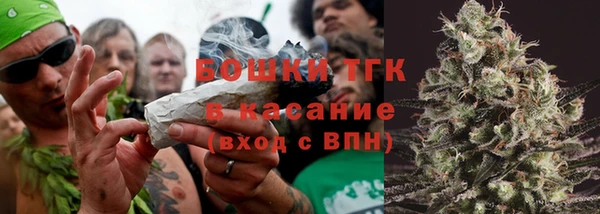 прущие крисы Аркадак