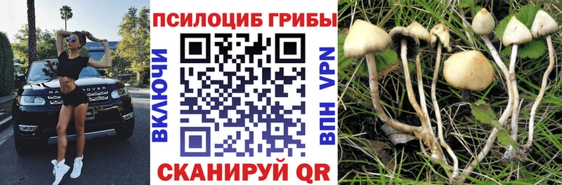Галлюциногенные грибы мухоморы  Балашиха 